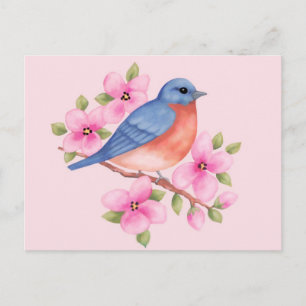 Bluebird Postcard