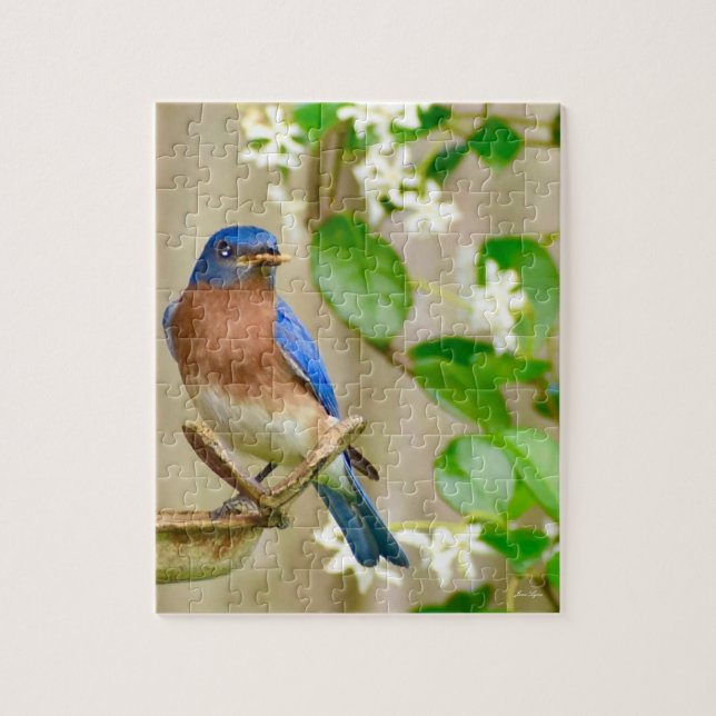 Bluebird puzzle "Early bird gets the worm" (Vertical)