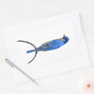 Bluebird Rectangular Sticker