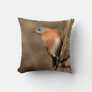 Bluebird, Sideways Glance Throw Pillow