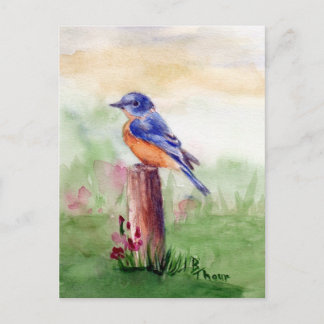 Bluebird Song Postcard