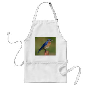 Bluebird Standard Apron