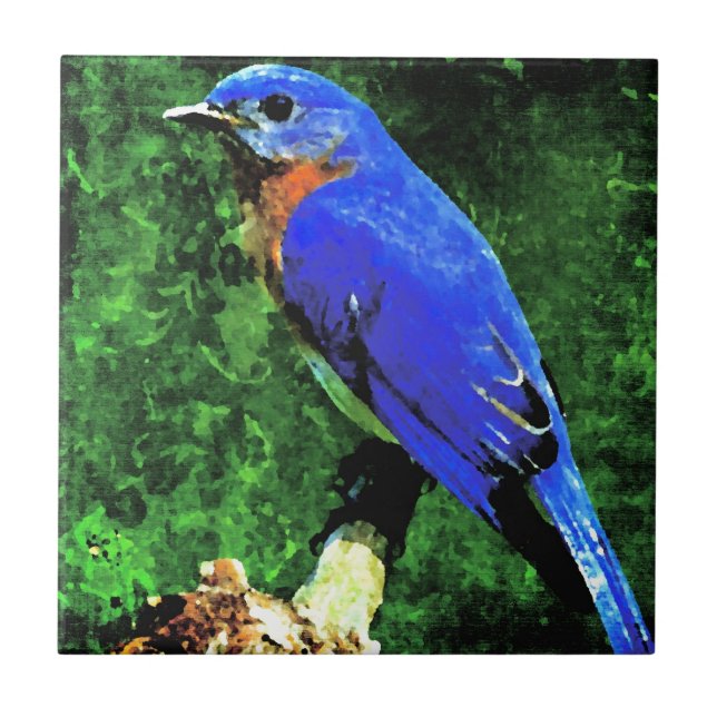 Bluebird Tile (Front)
