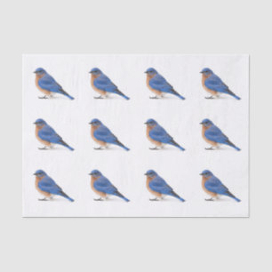 Bluebird Tissue Paper
