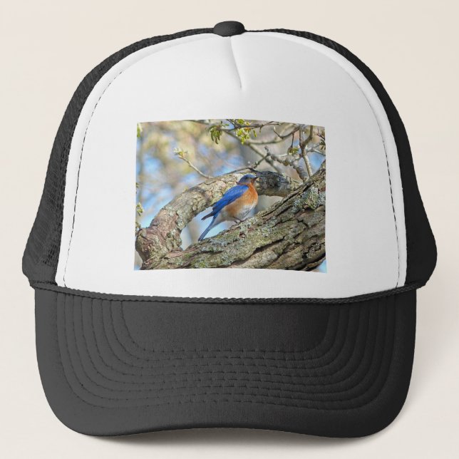 Bluebird Trucker Hat (Front)