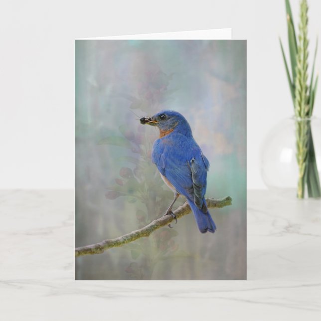 Bluebird Watercolor Holiday Card (Front)