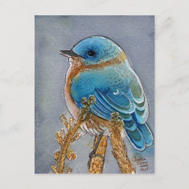 Bluebird Watercolor Postcard (Front)