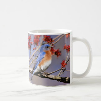Bluebirds Coffee Mug III by BirdingCollectibles