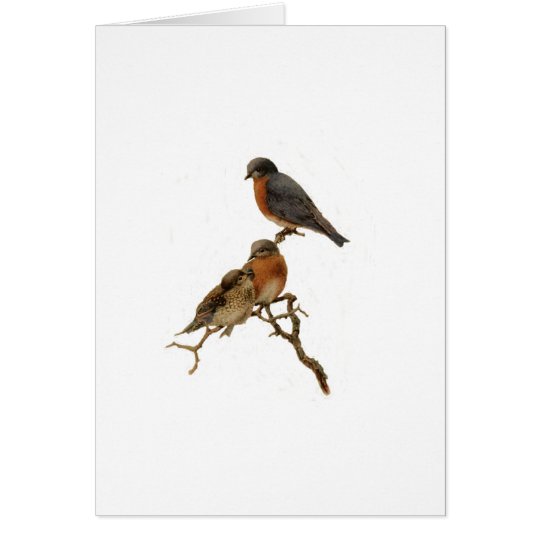 Bluebirds Family Card