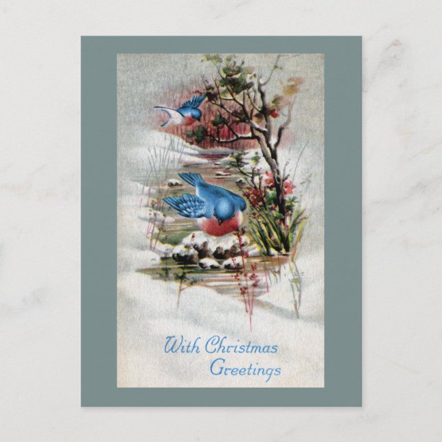 Bluebirds in Winter Vintage Christmas Holiday Postcard (Front)
