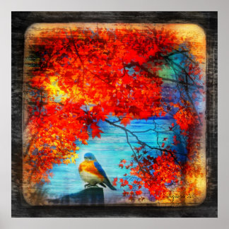 Bluebirds song,poster poster