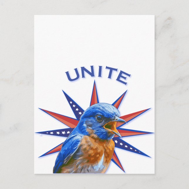 Bluebirds UNITE Postcard (Front)