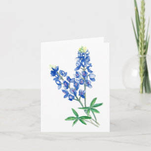 Bluebonnet 3 Blank Card