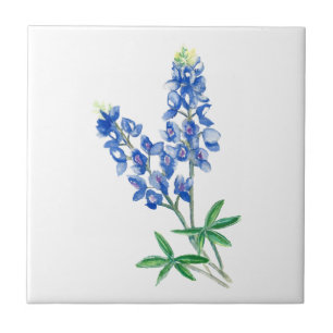 Bluebonnet 3 tile