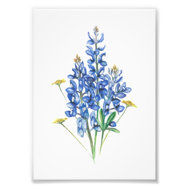 Bluebonnet and Wildflowers Photo Print (Front)