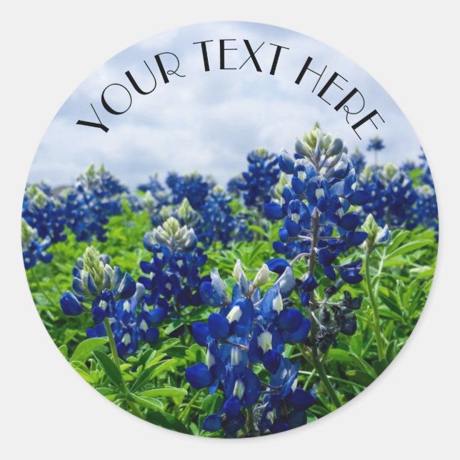 Bluebonnet Blue Flower Texas texan Floral Classic Round Sticker (Front)