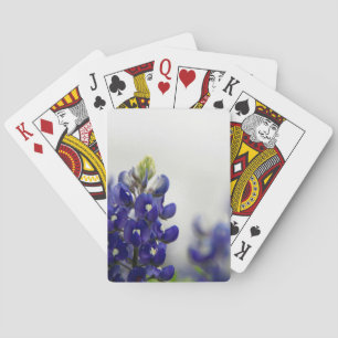 bluebonnet blue playing cards