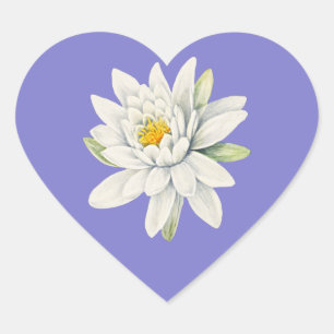 Bluebonnet Bluish-Purple with White Waterlily Heart Sticker