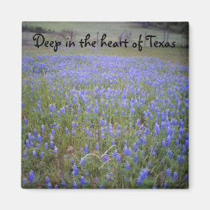 Bluebonnet Field phrase magnet