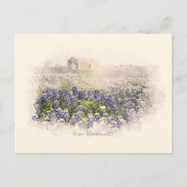 Bluebonnet Field Sketched Watercolor Postcard (Front)