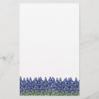 Bluebonnet Field Stationery