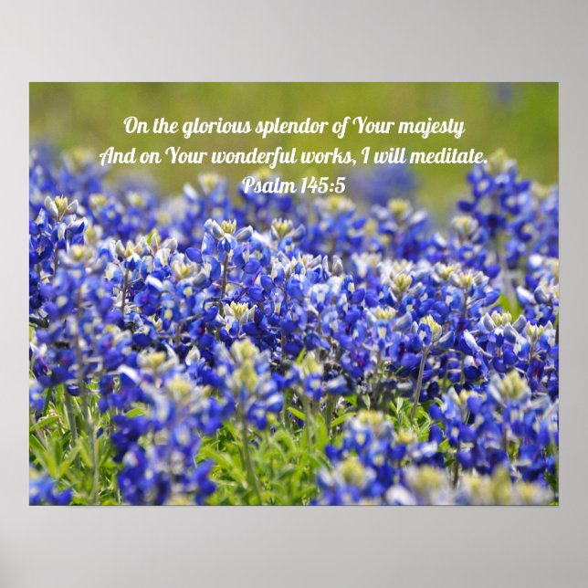 Bluebonnet Flowers Scripture Poster (Front)