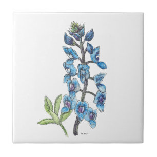 Bluebonnet in Line and Wash 1 Ceramic Tile