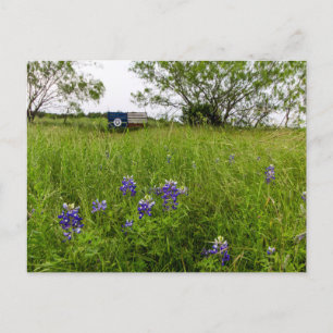 Bluebonnet Park, Ennis, Texas Postcard