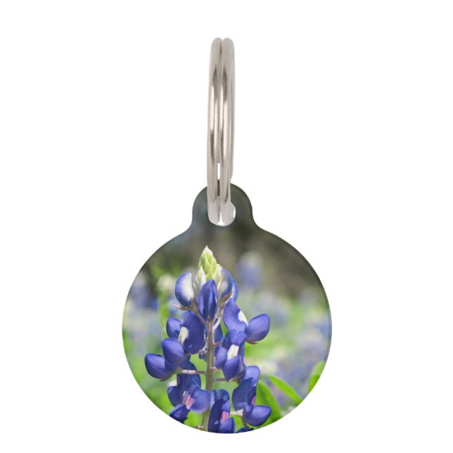 Bluebonnet Pet Tag (Front)