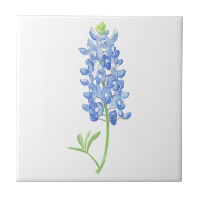 Bluebonnet Tile (Front)
