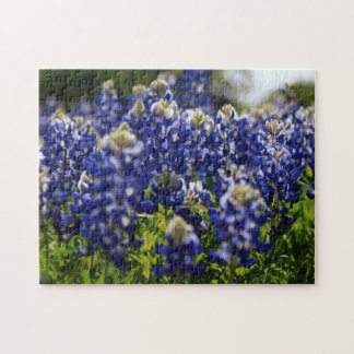 bluebonnet wildflower jigsaw puzzle