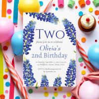 Bluebonnets 2nd Birthday Blue Floral 