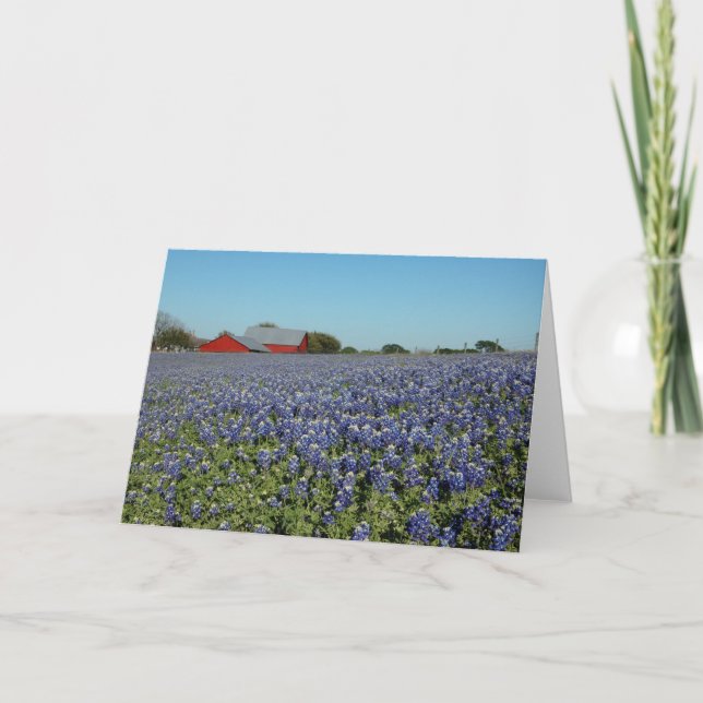 Bluebonnets and Barn Card (Front)