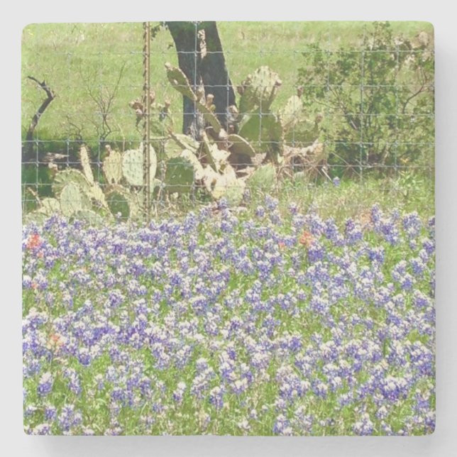 Bluebonnets And Cactus Stone Coasters (Front)