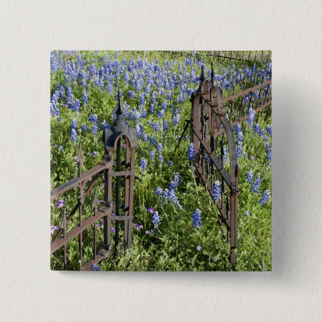 Bluebonnets and phlox surrounding cemetery gate 15 cm square badge (Front)