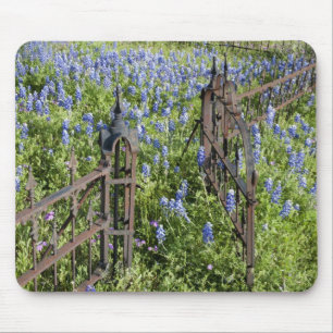 Bluebonnets and phlox surrounding cemetery gate mouse mat