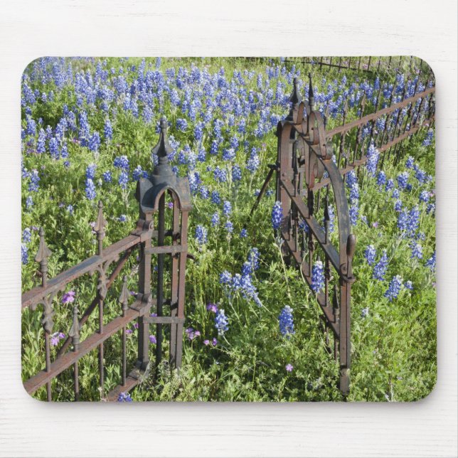 Bluebonnets and phlox surrounding cemetery gate mouse mat (Front)