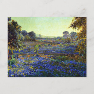 Bluebonnets at Late Afternoon, near La Grange, Ca Postcard