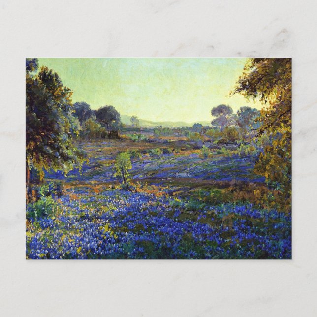 Bluebonnets at Late Afternoon, near La Grange,  Ca Postcard (Front)