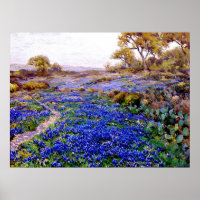 Bluebonnets at Twilight North of San Antonio,