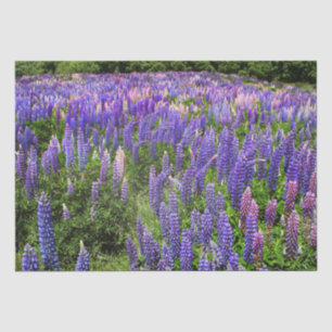 Bluebonnets Blue Floral Texas Texan Elegant  Tissue Paper