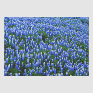 Bluebonnets Blue Floral Texas Texan Elegant Tissue Tissue Paper