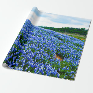Bluebonnets Blue Floral Texas Texan Elegant  Wrapping Paper