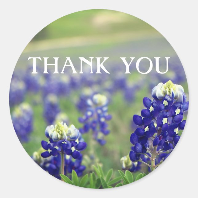 Bluebonnets Blue Flowers Texas Floral  Classic Round Sticker (Front)