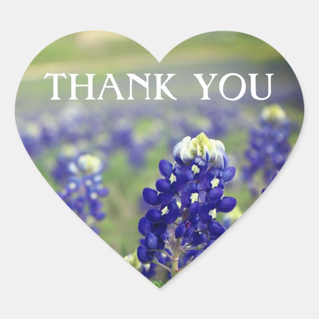 Bluebonnets Blue Flowers Texas Floral  Heart Sticker (Front)