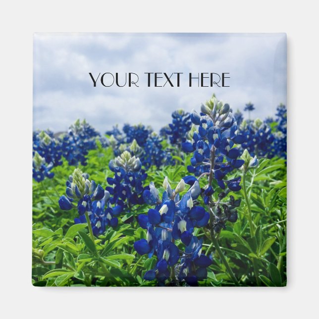 Bluebonnets Blue Flowers Texas texan Floral Magnet (Front)