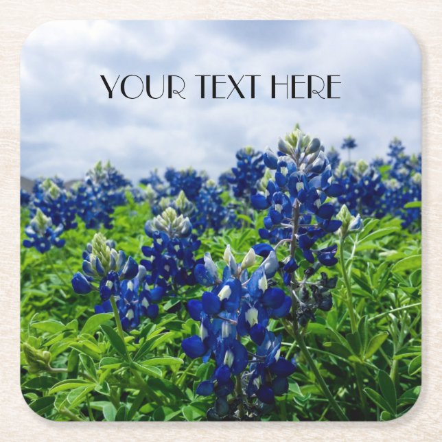 Bluebonnets Blue Flowers Texas Texan Floral Square Paper Coaster (Front)