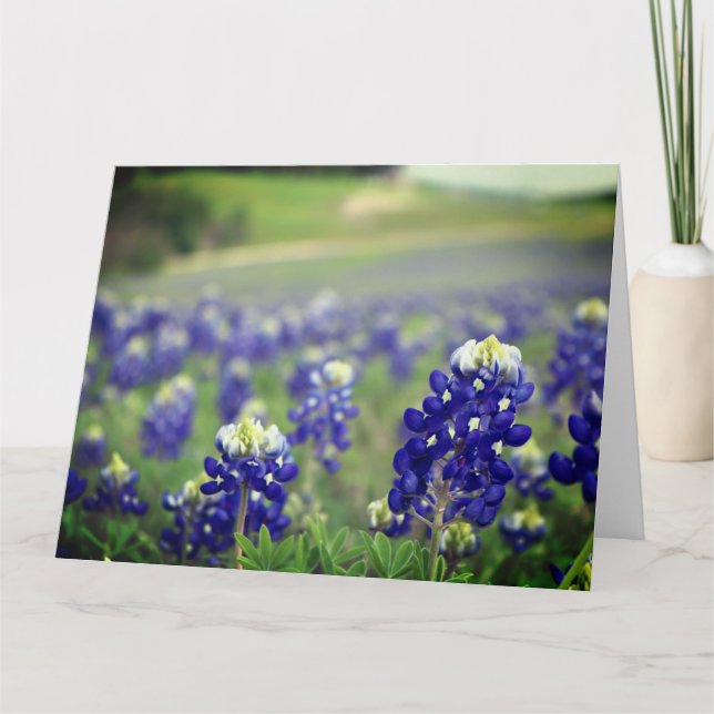 Bluebonnets Blue Flowers Texas Texan Floral Thank You Card (Front)