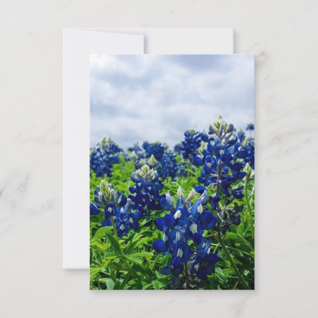 Bluebonnets Blue Flowers Texas Texan Floral  Thank You Card (Front)
