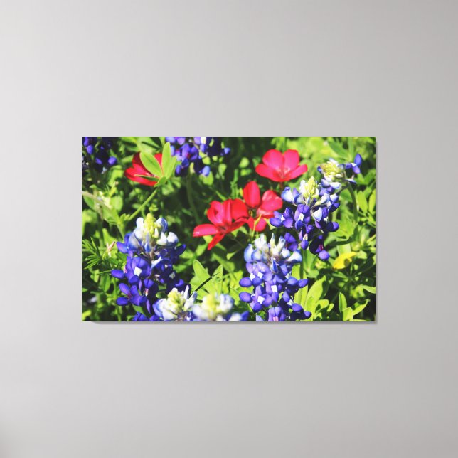 Bluebonnets Canvas Print (Front)